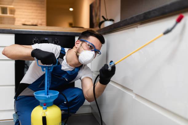 Best Local Pest Control Services  in Lockland, OH