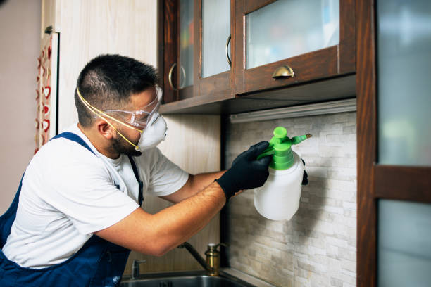 Best Pest Control Near Me in Lockland, OH