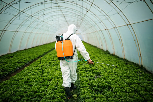 Best Affordable Pest Control Services  in Lockland, OH