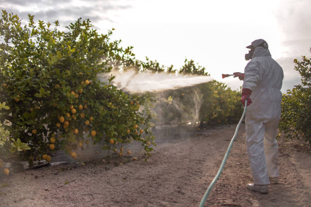 Best Pest Removal Services  in Lockland, OH