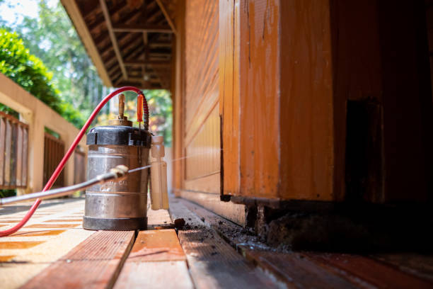 Best Mosquito Control Services  in Lockland, OH