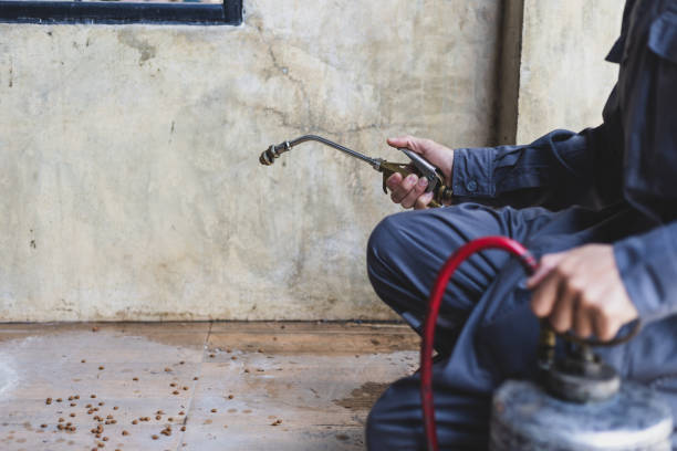 Best Exterminator Services  in Lockland, OH